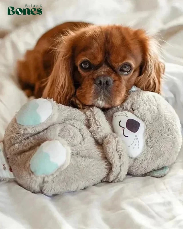 Dog cuddling Breathing Otter Toy