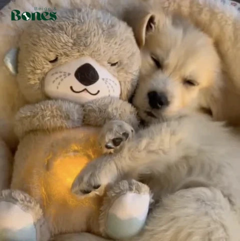 Puppy sleeping with Breathing Otter Toy