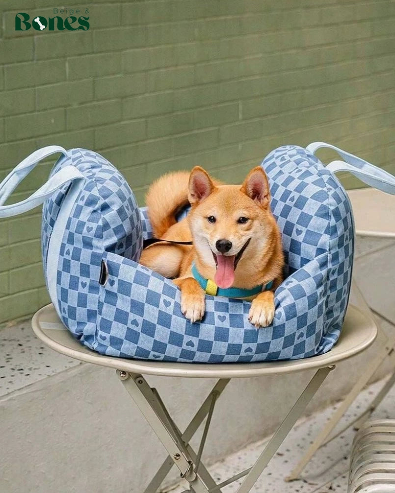 Checkered blue pet carrier