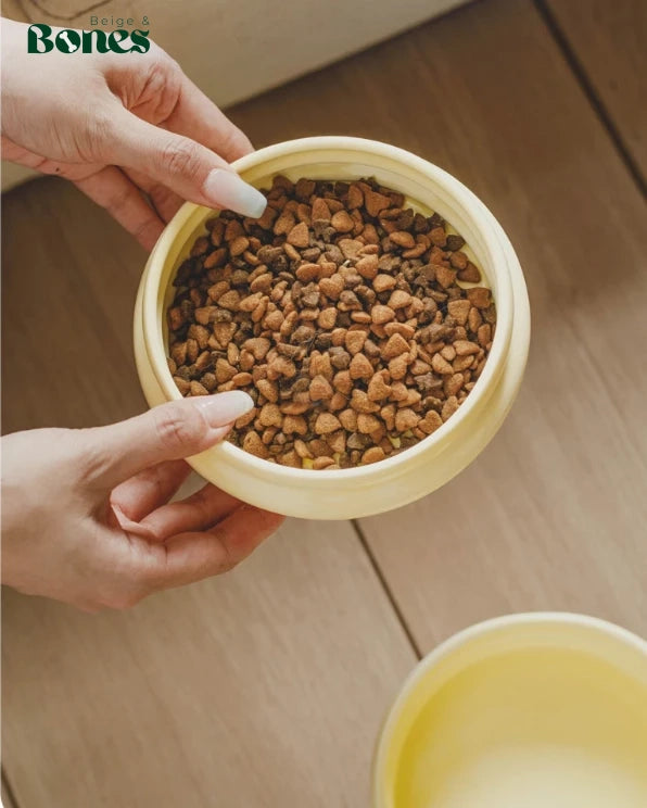 Ceramic Pet bowl with kibble